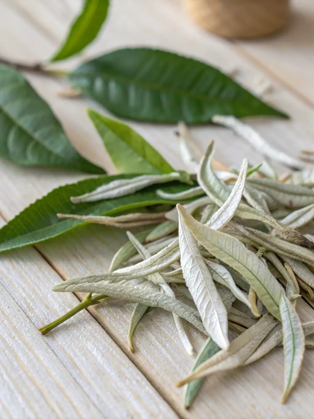 A close-up shot of various organic tea leaves and herbs, highlighting their natural textures and colors, with a gentle light filtering through.